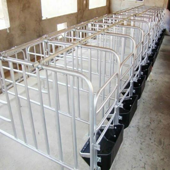 Sow Locating Crates / Pig Crates / Sow Persition Crates for Pannage