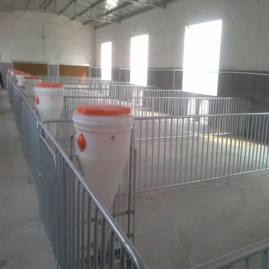 Pig Breeding Use Galvanized Steel Fence with High Quality