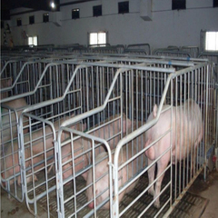 Hot DIP Galvanizing Steel Enclosure for Pig Breeding