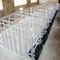 Sow Crate/Pig Fence with Manger for Raising Pig