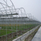Hot DIP Galvanized Steel Pipe for Warmhouse and Greenhouse