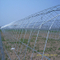 Galvanized Steel Pipe Use for Warmhouse and Greenhouse