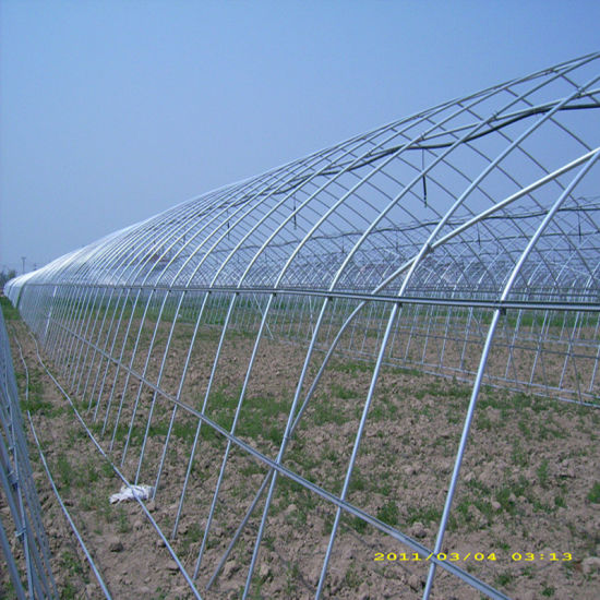 Galvanized Steel Pipe Use for Warmhouse and Greenhouse